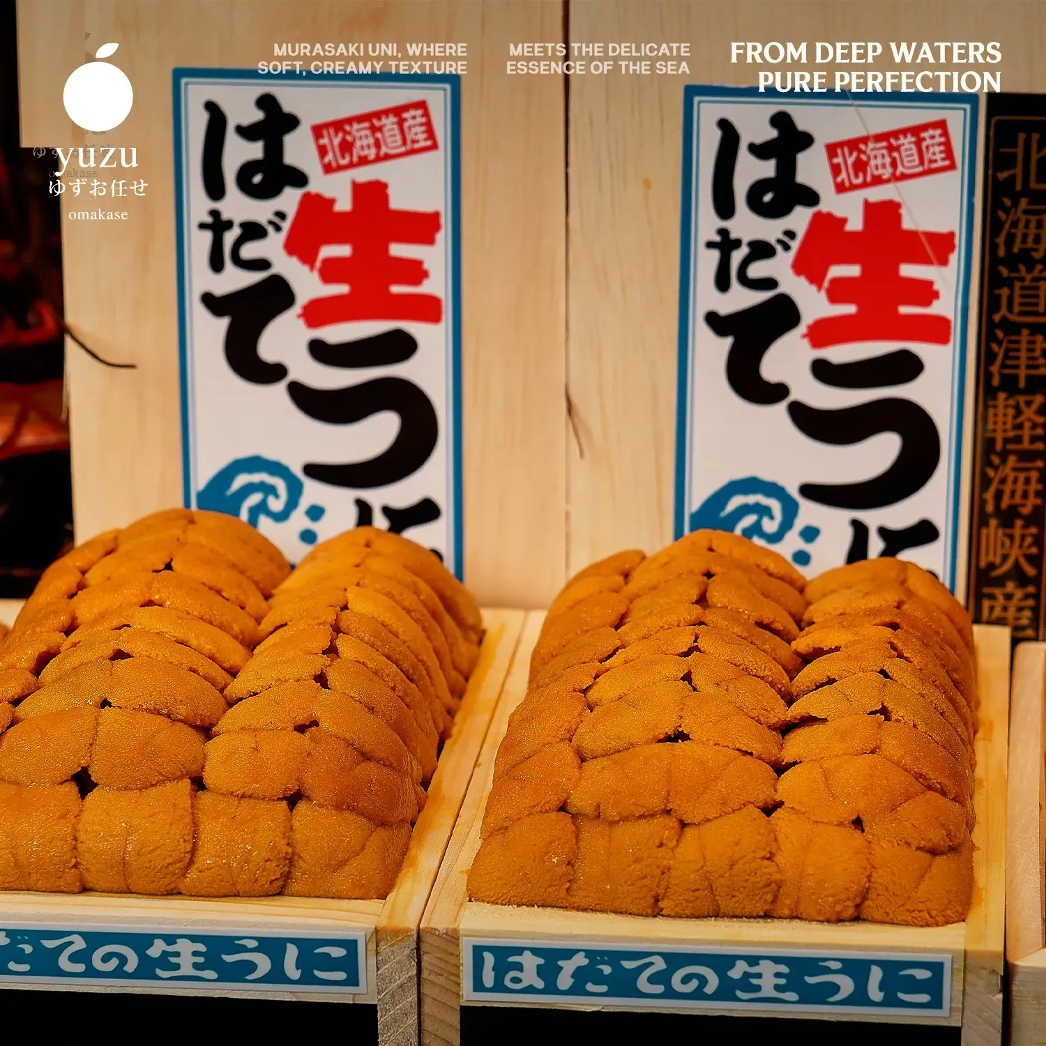 Quá Trình Đấu Giá Khó Khăn Tại Chợ Hải Sản Toyosu