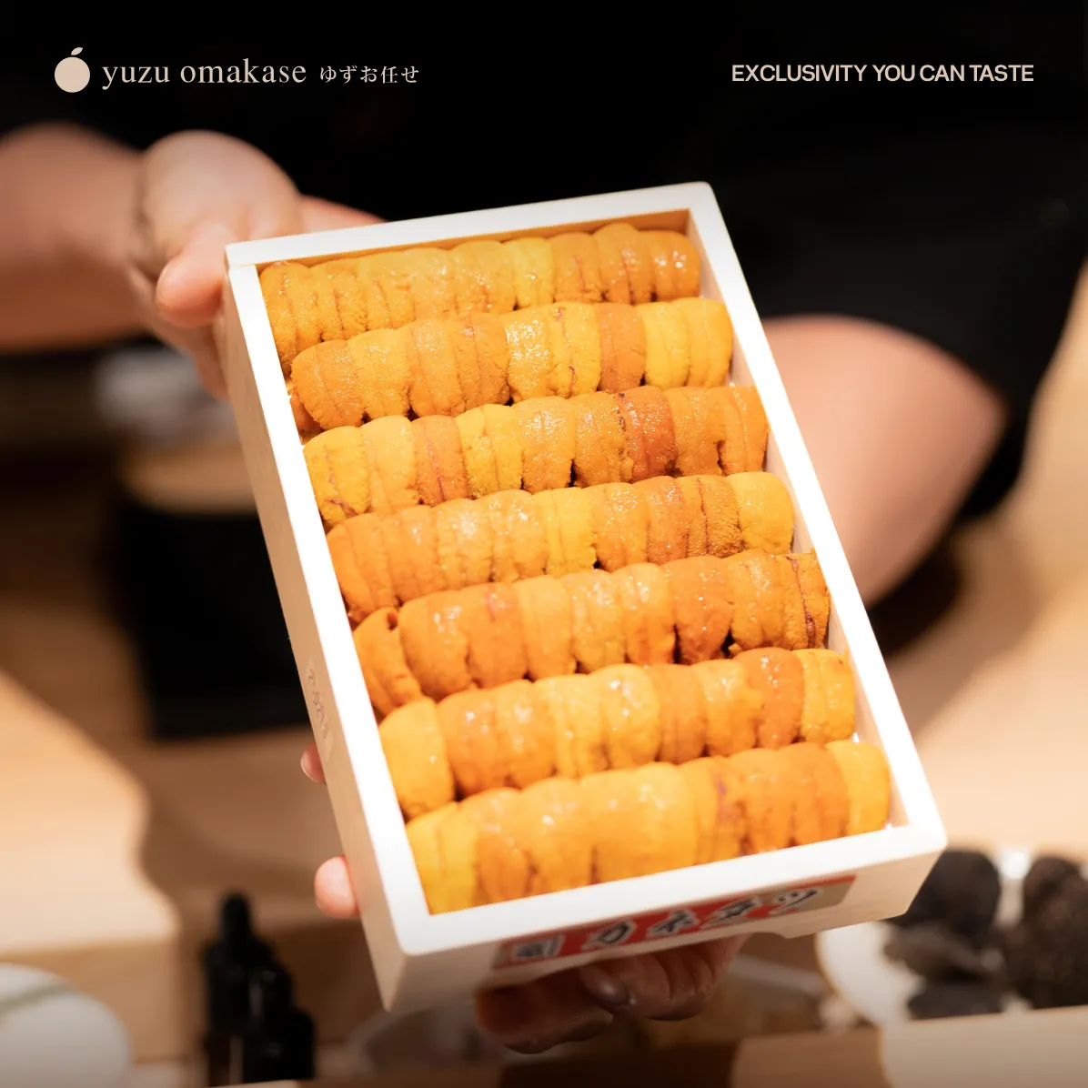 Cuộc Hành Trình Từ Đáy Biển Và Nghệ Thuật Chọn Lọc Tinh Túy