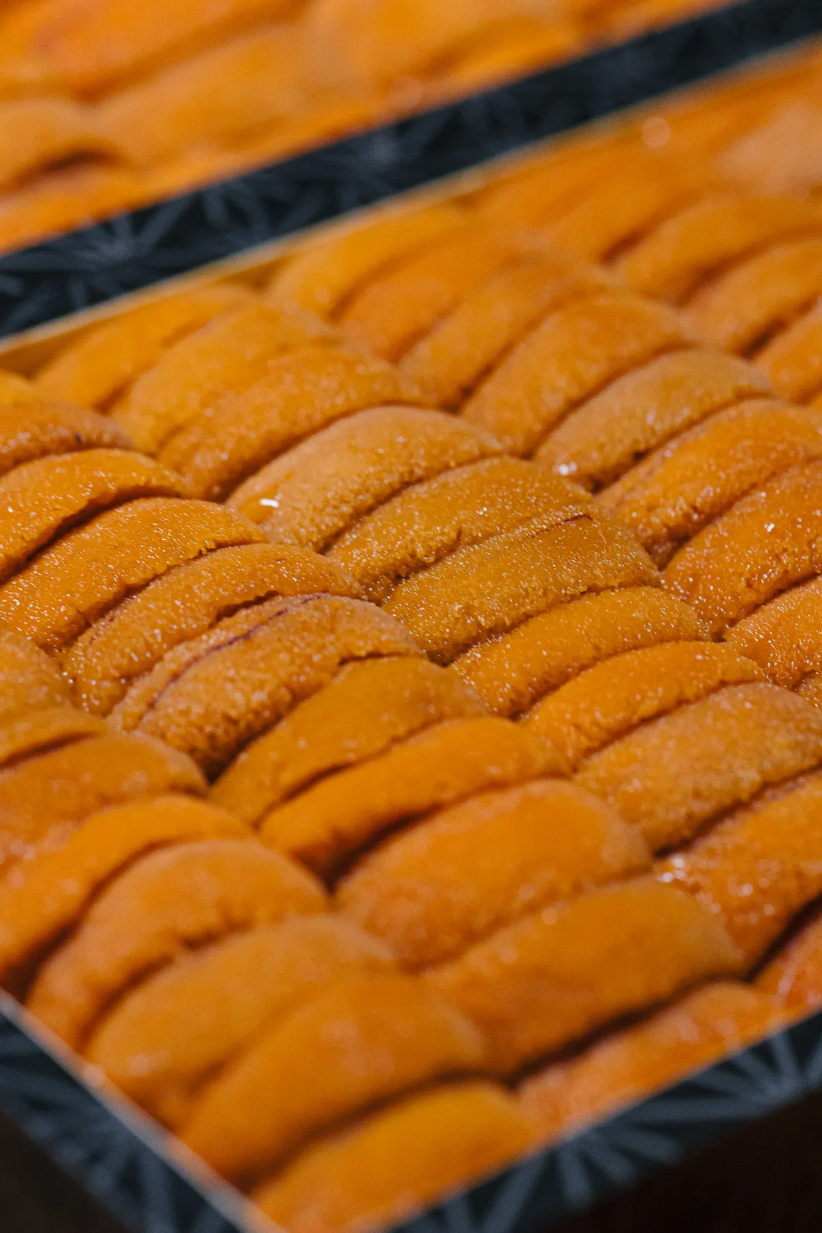 Cuộc Hành Trình Từ Đáy Biển Và Nghệ Thuật Chọn Lọc Tinh Túy