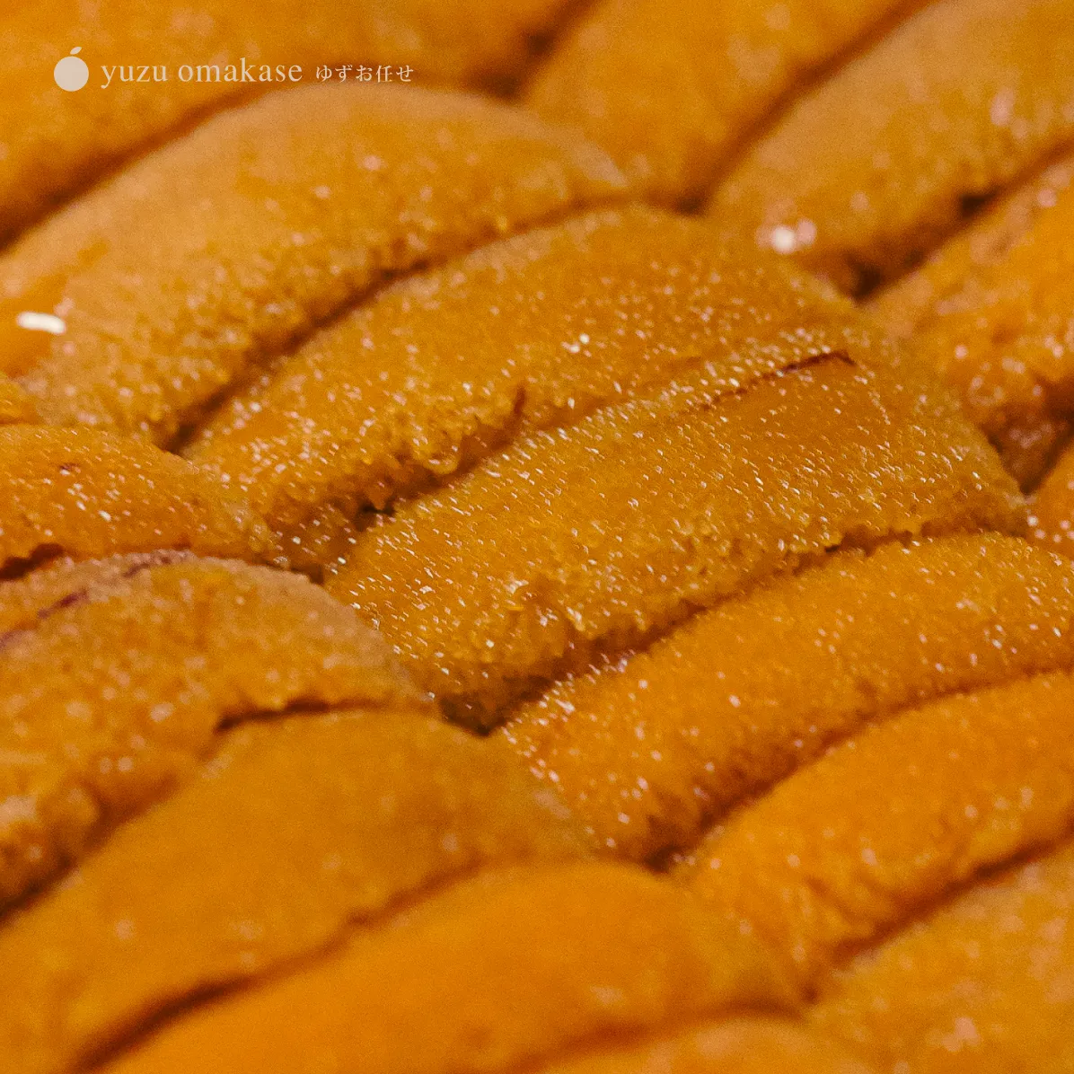 Cuộc Hành Trình Từ Đáy Biển Và Nghệ Thuật Chọn Lọc Tinh Túy