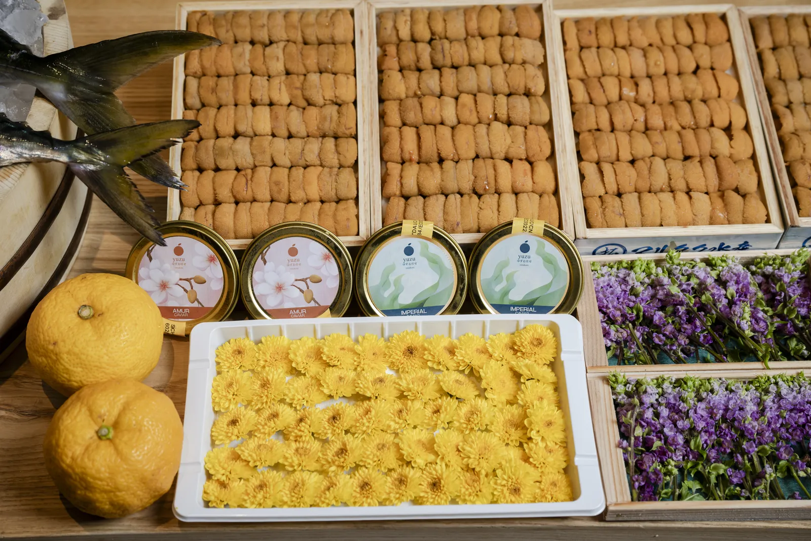 Cuộc Hành Trình Từ Đáy Biển Và Nghệ Thuật Chọn Lọc Tinh Túy