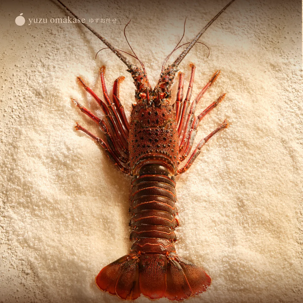 Nghệ Thuật Trình Diễn Omakase