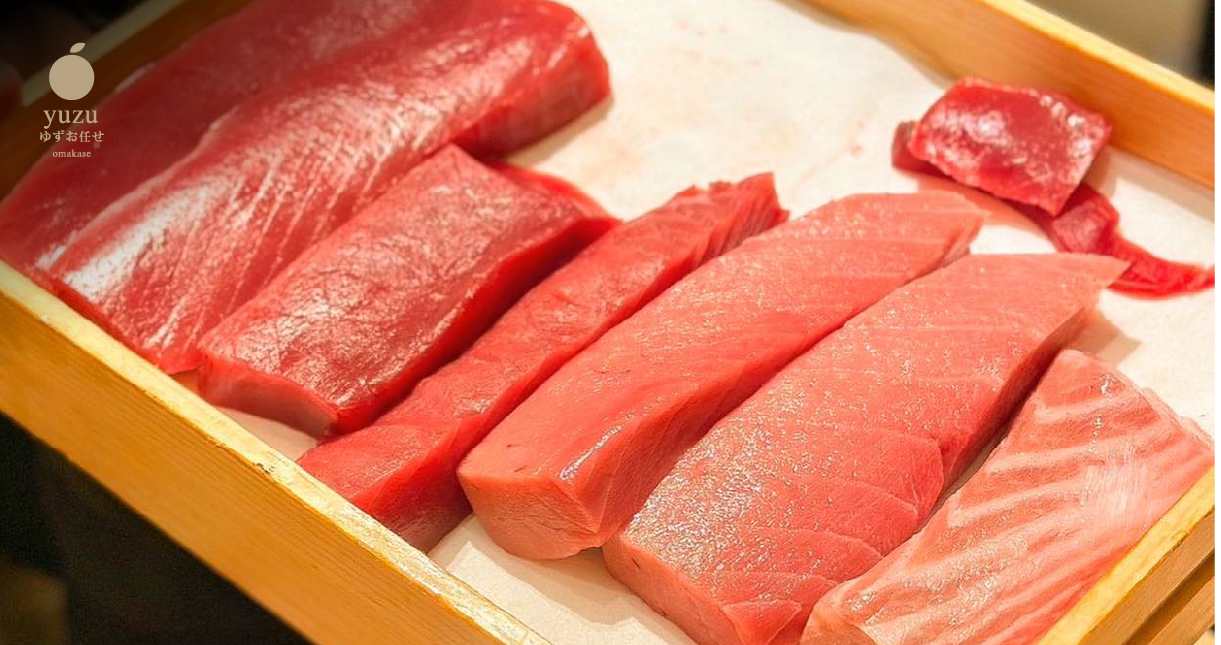 Bluefin Tuna